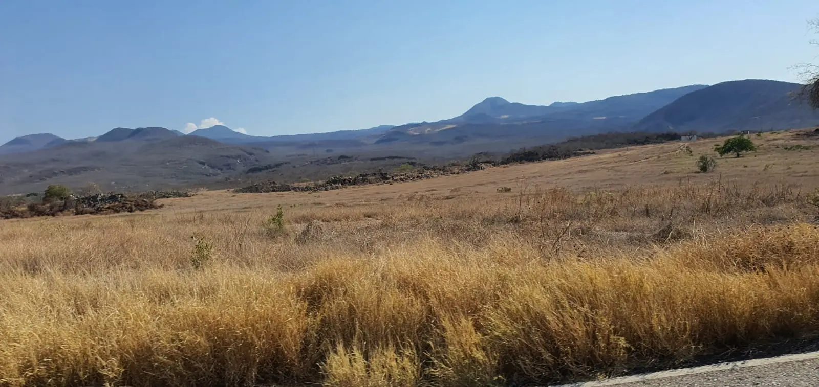 En Sierra Costa michoacana urgen a iniciar ya la etapa de reforestación; sin ella no habrá agua de lluvia que se filtre en el suelo