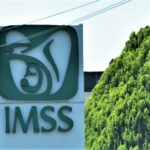 IMSS-1