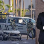 11883d2834894bd1bd4c8eb91de0303b