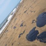 1518ed760d91454ca7cc4e774a8fd71c