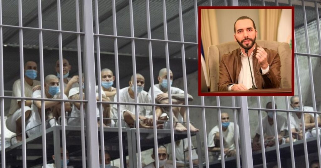 1ffe87e8fcbe433a9402e87d22462081