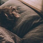 2683f5224f1249f8aaf0737541604924