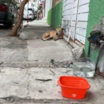 456c89cad08448489b64c2e4acbdf23b