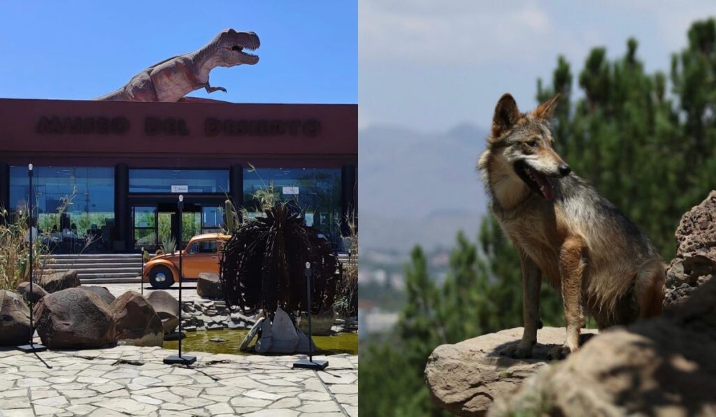 556a36ae07b04acc832de439f44a588d