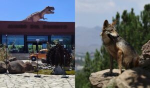 556a36ae07b04acc832de439f44a588d