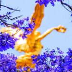 632503b8a902483f8c29619dcdc602e8