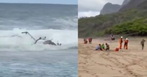 64d8916155ce4643b71237ab93c82562