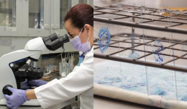 7ba197c627a84d418f1324f15b964615