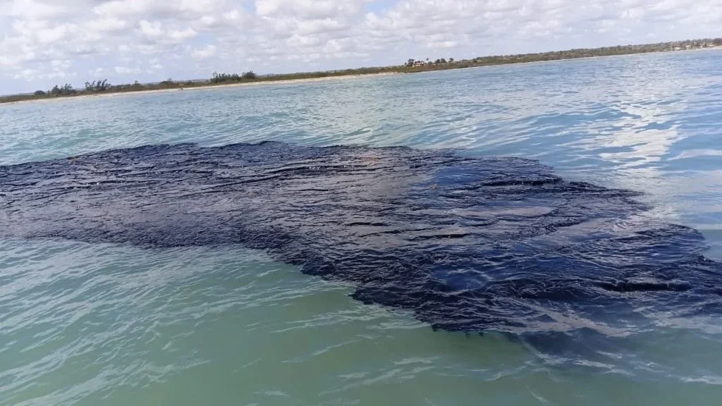 7bcc8c93e18842c196bd84512a607f59