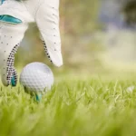 8614ca9e80594d09921724796c8e1acb