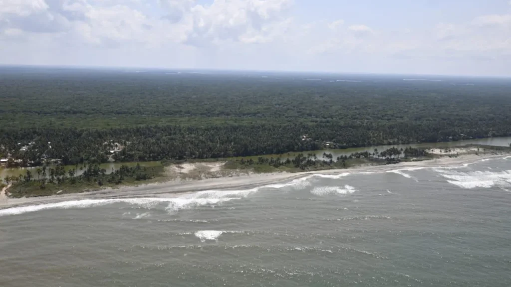 8931444a543d4ae8a181b57593492e39