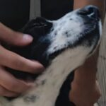 9124057f570748259f61b287893e443c