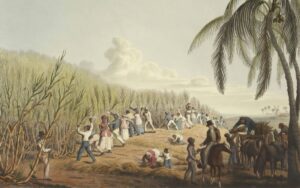 a80893520ad54baa87b8a5eacb6a85a6