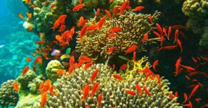 a9e13a7b92024a61b088a721a4fee760