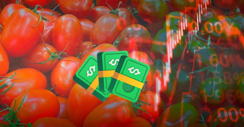 c5faa306ff804df79737df8876cc9c29