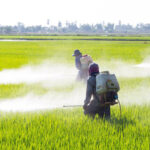 de9c132a418c45ef9eefb55de285d696