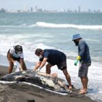 f1b9733aa44949648d6b4bbda3a901b3