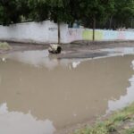 1a8b7683c6c74f20ad2a1559c332acd0