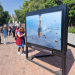 22eaadc1ba34450aa1c550afb12807e7