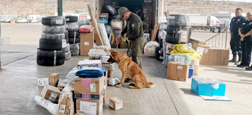 2ba7ef929a614780b0e13e5dd7befb01