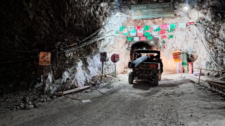 347fc5f7d3a54f008df9311da65329fe