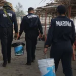 35fe070b36f44fcca6ba949f97f56482