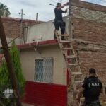 450544d436184e18a0ae969d024524d2