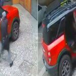 4cd8e4e4fcb740bdbd6404a6e5026255