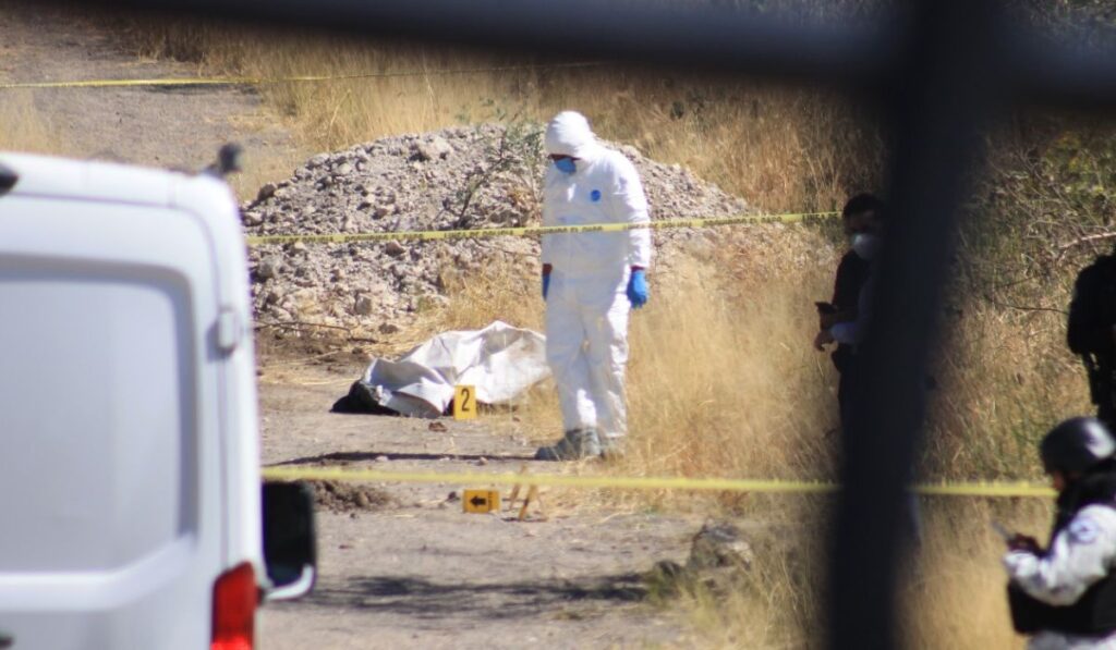 51f5bc7348ba4f27915930059a674072