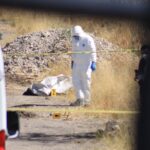 51f5bc7348ba4f27915930059a674072