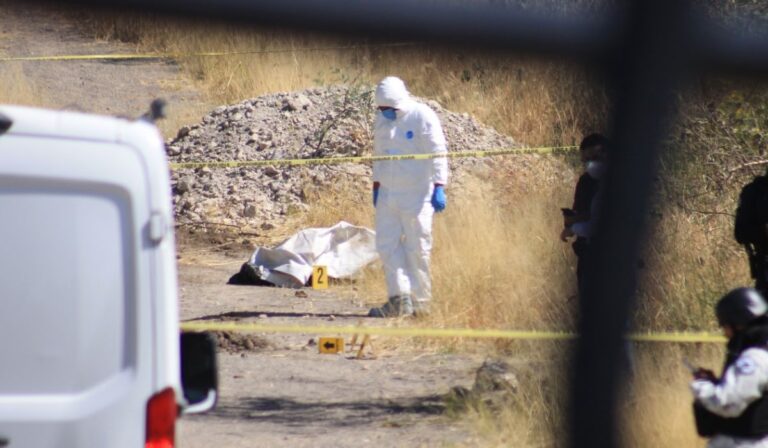 51f5bc7348ba4f27915930059a674072