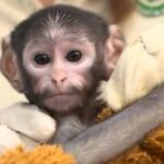 544e7a1b26b54d8dbb5368cf0950f1a5