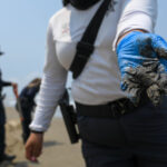 7a17724386a34fee93029a2170ec50c6