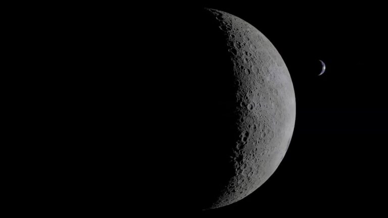 8333a8a6187140b7a4532361cdab7626