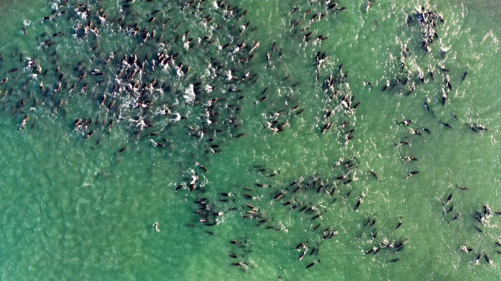 856f80b3dcbd41b3b7efde333d6a77a7