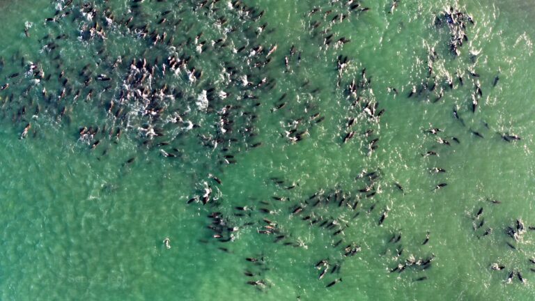 856f80b3dcbd41b3b7efde333d6a77a7