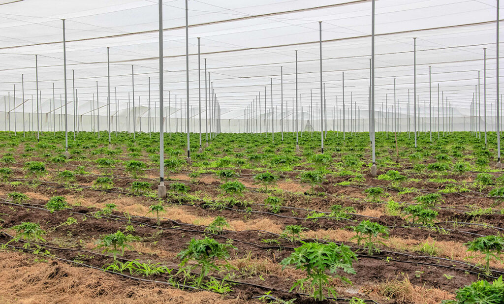 8ce4fbad84ac44b2832e6a84392e9e18