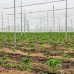 8ce4fbad84ac44b2832e6a84392e9e18