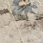 96b727cfb5e0430eb3f5a7ec4a35c788