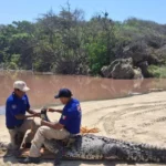 bd107b0711eb4e5f85e042c13ea6462e