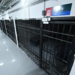 c03b2bd172d64bba8b0d21e6edf4cf69