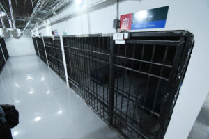 c03b2bd172d64bba8b0d21e6edf4cf69