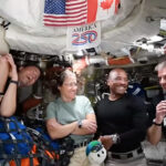 c41be82915a14a108849e47770f314df