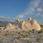 d065a61ab52c4217bea4574a8957ba54