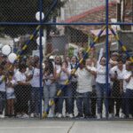 d8619f4700ec44bcb503642b475297c2