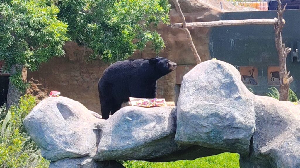 f0651f3d721c4f44ab1e3f27d5b273cc