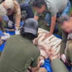 58ffcdc2fbe14e7da0af9d3eb7ea68d8