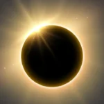 280c197d53524af6a1b0f61c99444c44